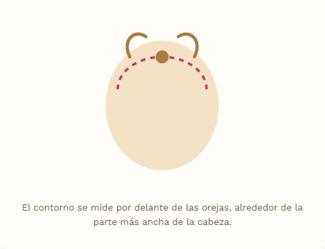 Guía de tallas